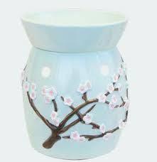 Imagen 8 Tiendas Soriana, S.A. De C.V. foto