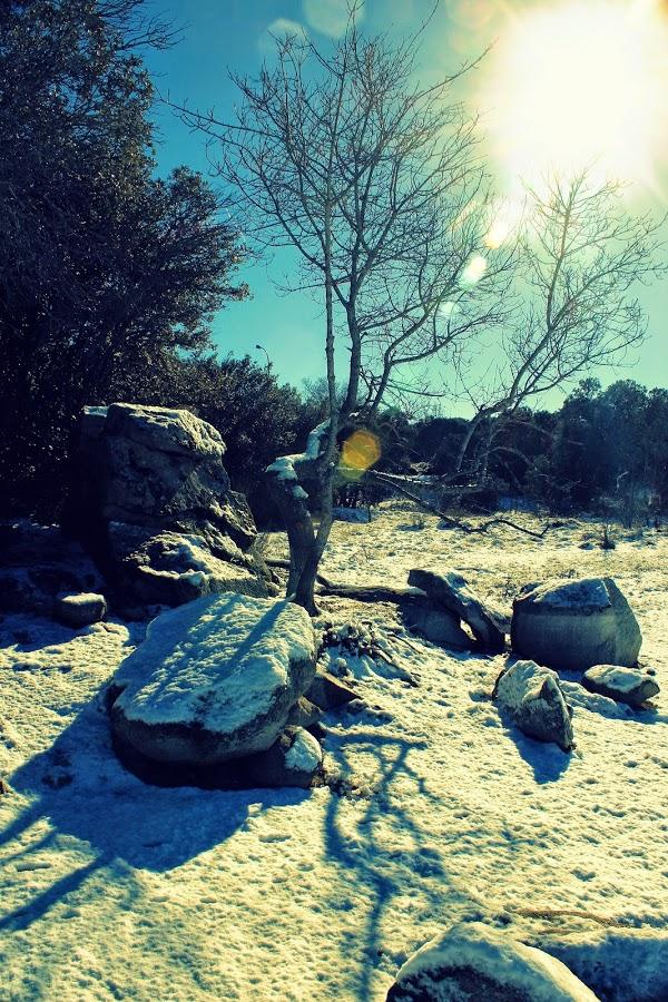 Imagen 19 Tavio Desatascos y Servicios Ecológicos de Tenerife foto