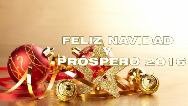 Imagen 20 Tavio Desatascos y Servicios Ecológicos de Tenerife foto