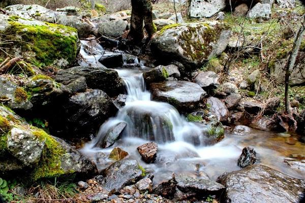 Imagen 24 Tavio Desatascos y Servicios Ecológicos de Tenerife foto