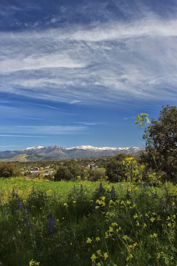 Imagen 25 Tavio Desatascos y Servicios Ecológicos de Tenerife foto