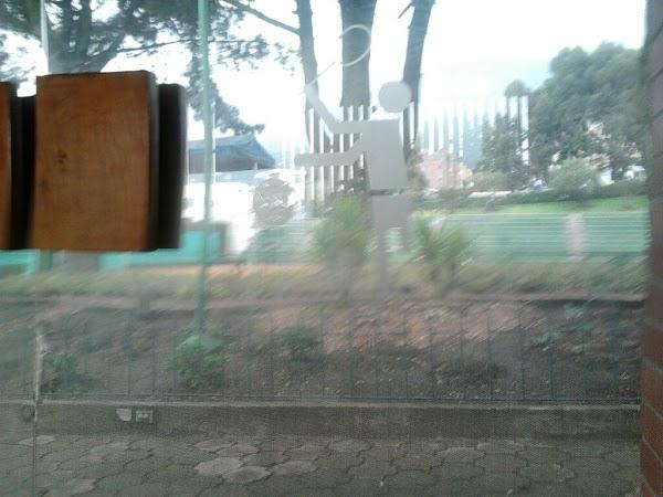 Imagen 3 Associació de Bolilleres de la Comunitat Valenciana foto