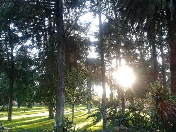 Imagen 1 MIPS Fundació Privada foto