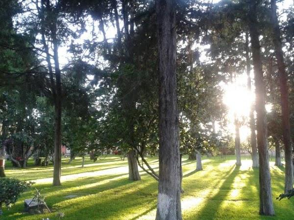 Imagen 2 MIPS Fundació Privada foto