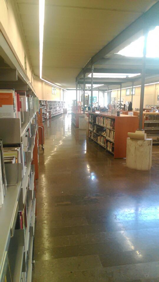 Imagen 10 MIPS Fundació Privada foto