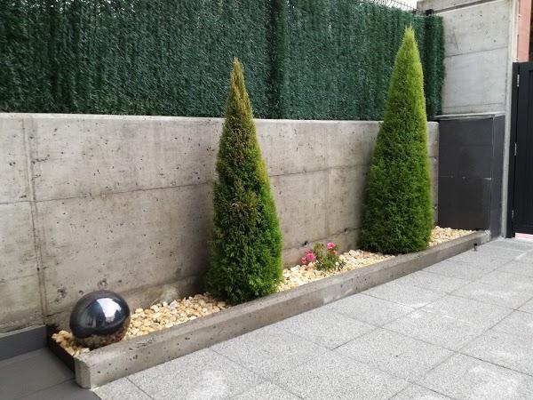 Imagen 52 Pimienta Verde - Creative Styling - Peluquería foto