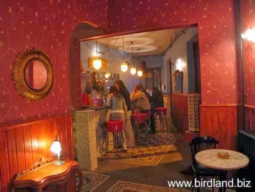 Imagen 13 COLEGIO URIEL DE MÉXICO foto