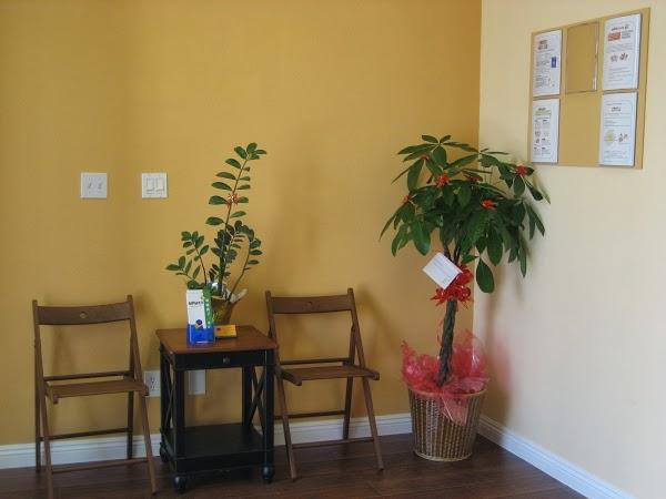 Imagen 35 COLEGIO URIEL DE MÉXICO foto