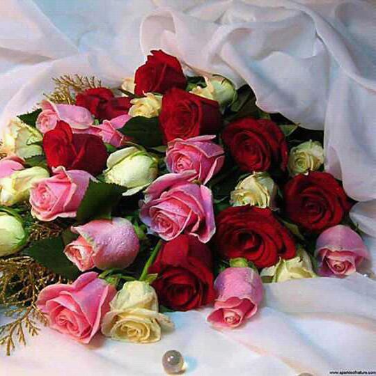 Imagen 7 COLEGIO URIEL DE MÉXICO foto