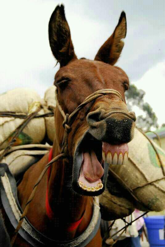 Imagen 7 James McEntee Academy foto