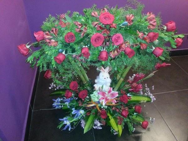 Imagen 1 Flores Filo foto