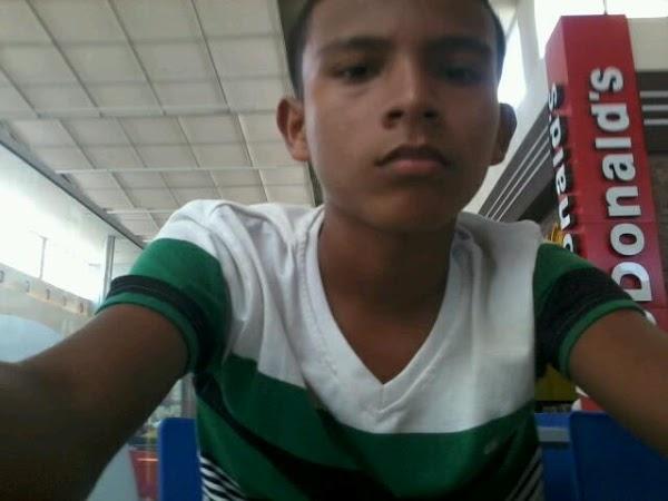 Imagen 4 Neteges Integrals Concòrdia S.L. foto