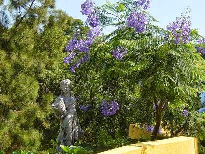 Imagen 16 Museo Catedral de Mallorca foto
