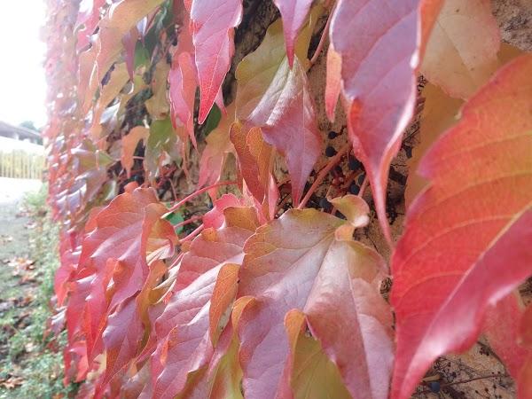 Imagen 41 Museo Catedral de Mallorca foto