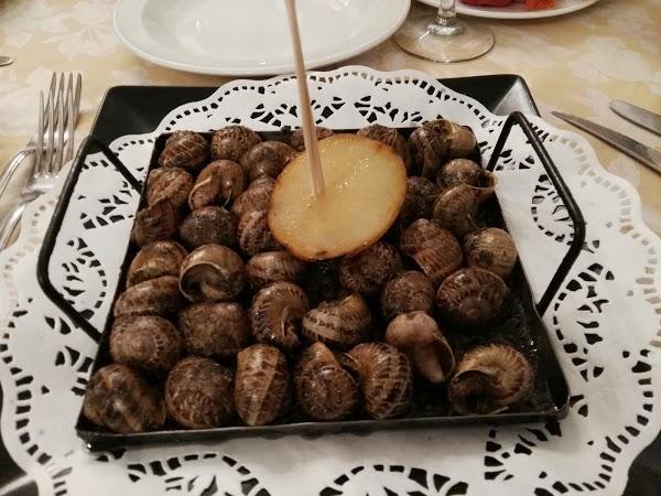 Imagen 57 Museo Catedral de Mallorca foto