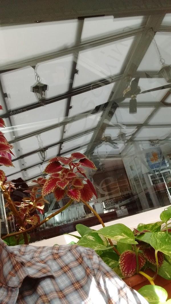 Imagen 42 Bull Hotels - Hotel Reina Isabel & Spa foto