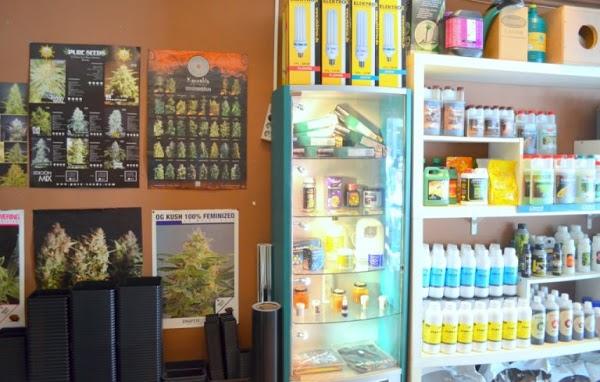 Imagen 3 Restaurant El Boliche del Gordo Cabrera foto