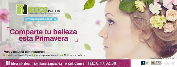 Imagen 230 Idecs Sinaloa foto