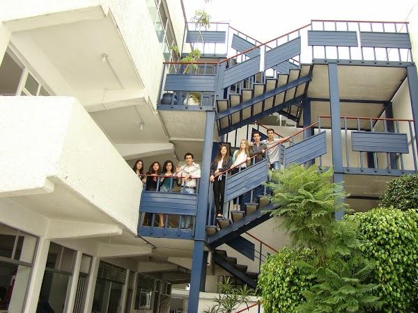 Imagen 56 Grill 50 foto