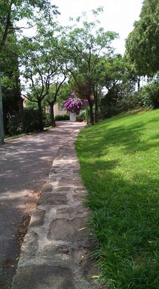 Imagen 57 teoigo.es foto