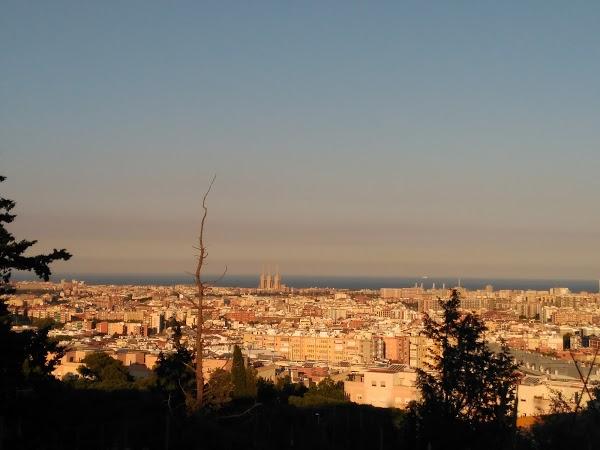 Imagen 58 teoigo.es foto