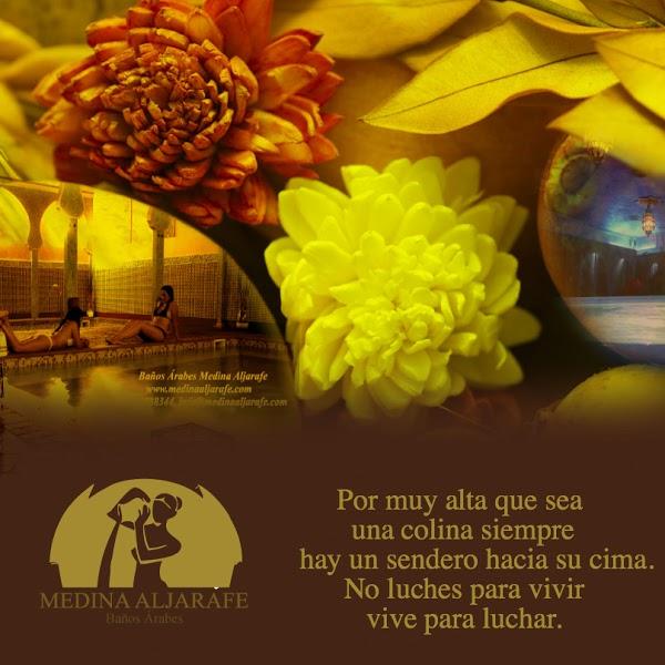 Imagen 10 GyA Studio foto