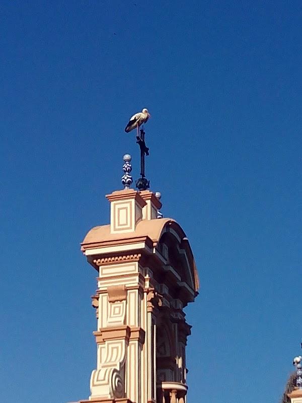Imagen 15 Gijon-Este foto