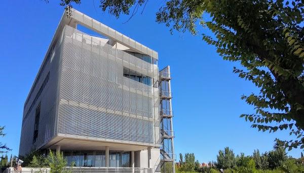 Imagen 11 Colegio Público Saltells foto