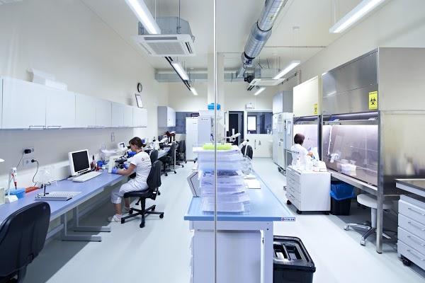 Imagen 12 Colegio Público Saltells foto