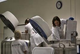 Imagen 6 Colegio Público Saltells foto