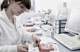 Imagen 7 Colegio Público Saltells foto