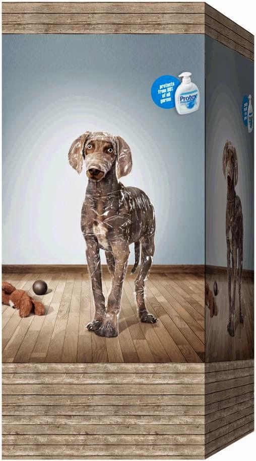 Imagen 39 Giardino Jardin de eventos foto