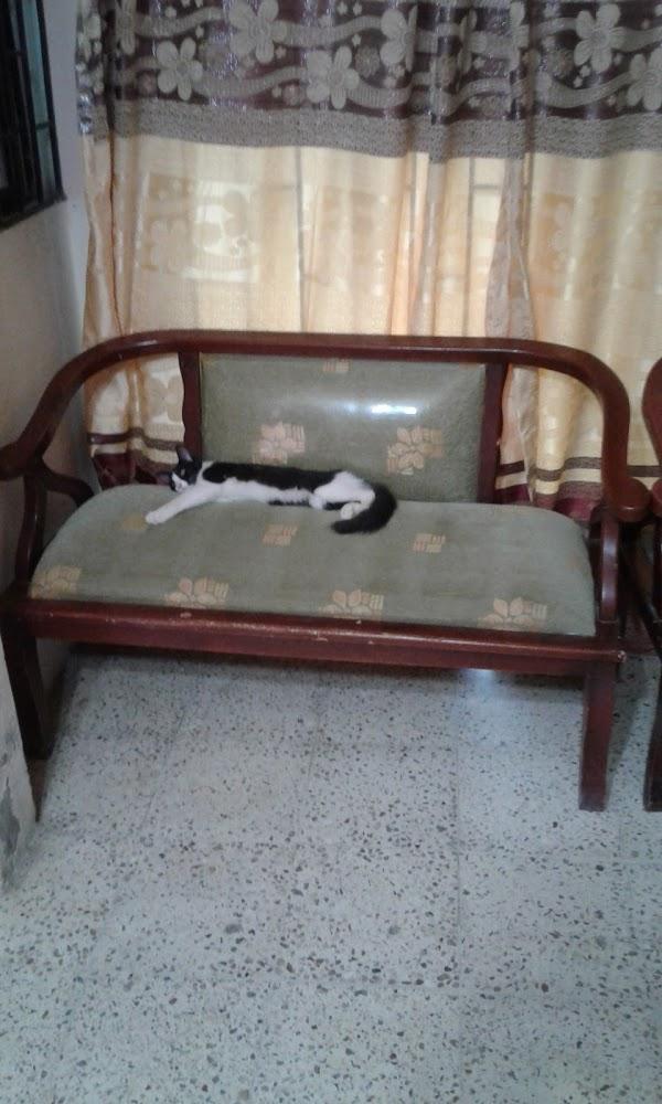 Imagen 39 