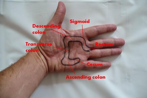 Imagen 49 Aluminou Gava S.L foto