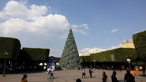 Imagen 26 Black & White Lounge Bar Music foto