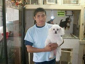 Imagen 2 Plenotel Hotel foto