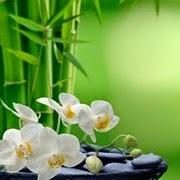 Imagen 2 Museo Grévin foto