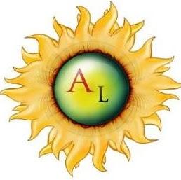 Imagen 31 Half Pipe Shop foto