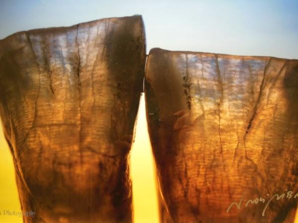 Imagen 13 Desembocadura del Guadalhorce foto