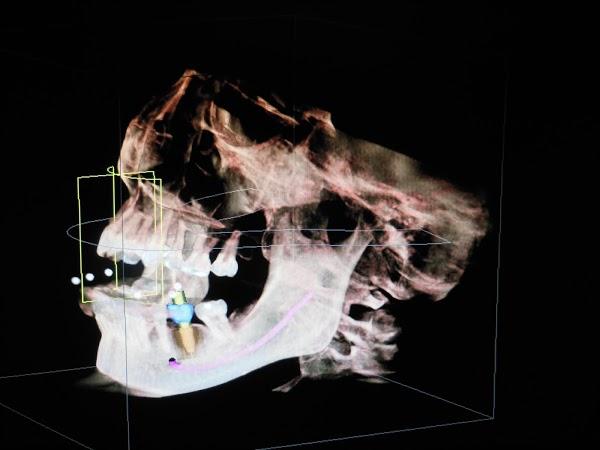 Imagen 8 Desembocadura del Guadalhorce foto