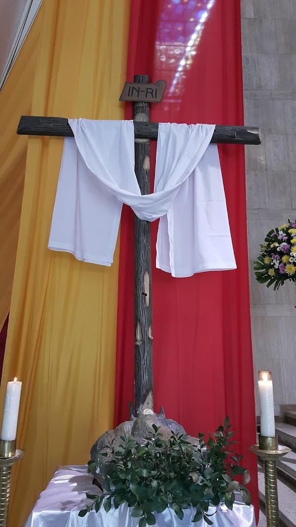 Imagen 22 El Mohicano Caza, Pesca y Camping foto