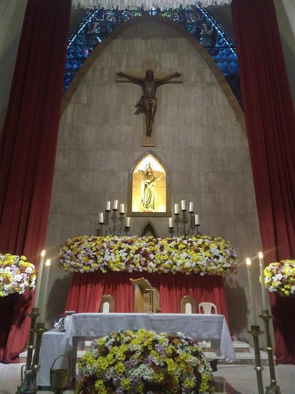 Imagen 50 El Mohicano Caza, Pesca y Camping foto