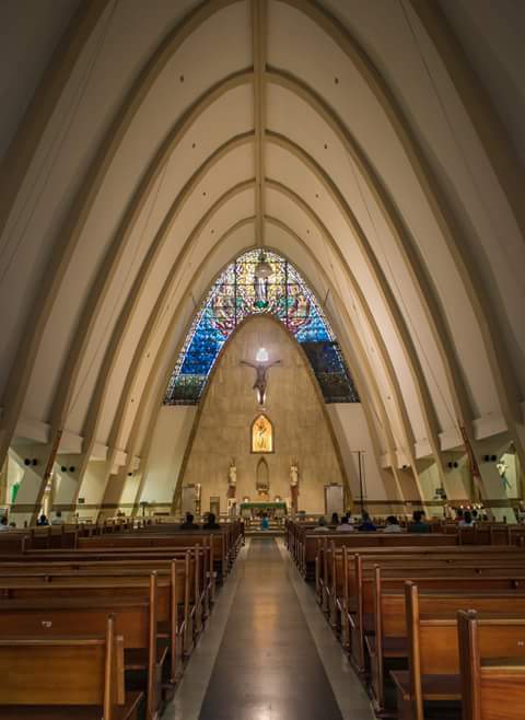 Imagen 59 El Mohicano Caza, Pesca y Camping foto