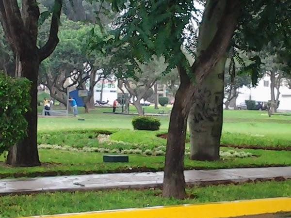 Imagen 31 Noucar S.l. foto