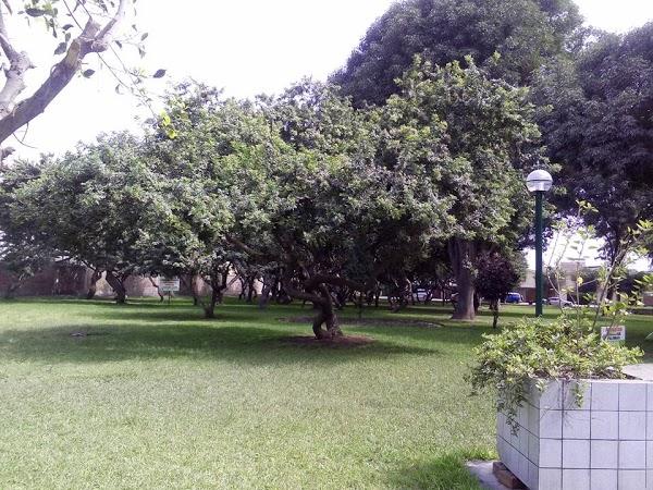 Imagen 65 Noucar S.l. foto