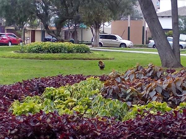 Imagen 71 Noucar S.l. foto