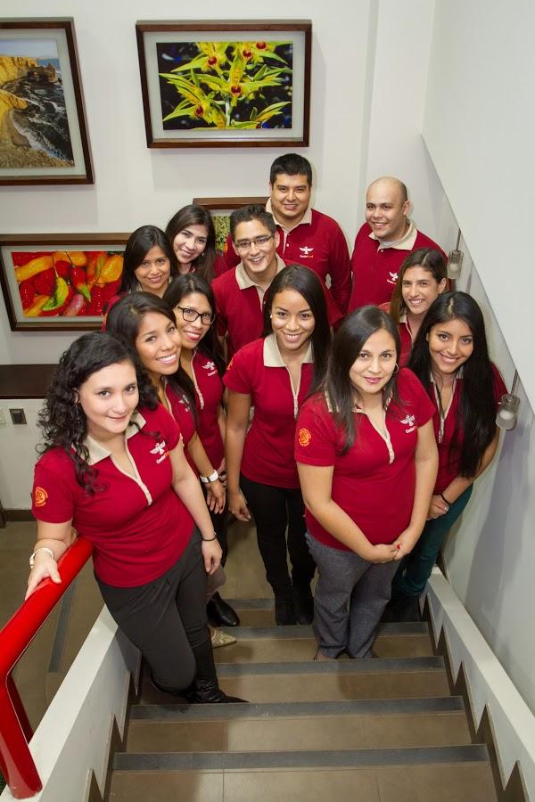 Imagen 100 Condor Travel foto