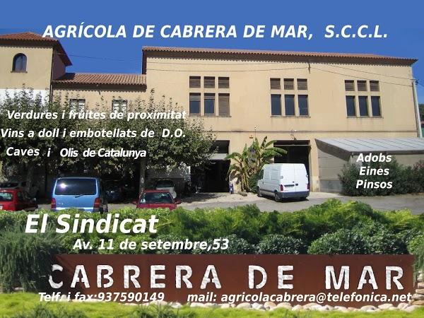 Imagen 6 Famsa Oficinas foto