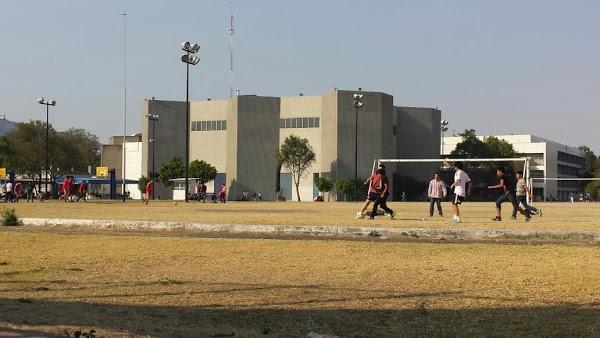 Imagen 23 Forestals foto