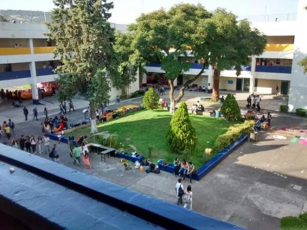 Imagen 24 Forestals foto